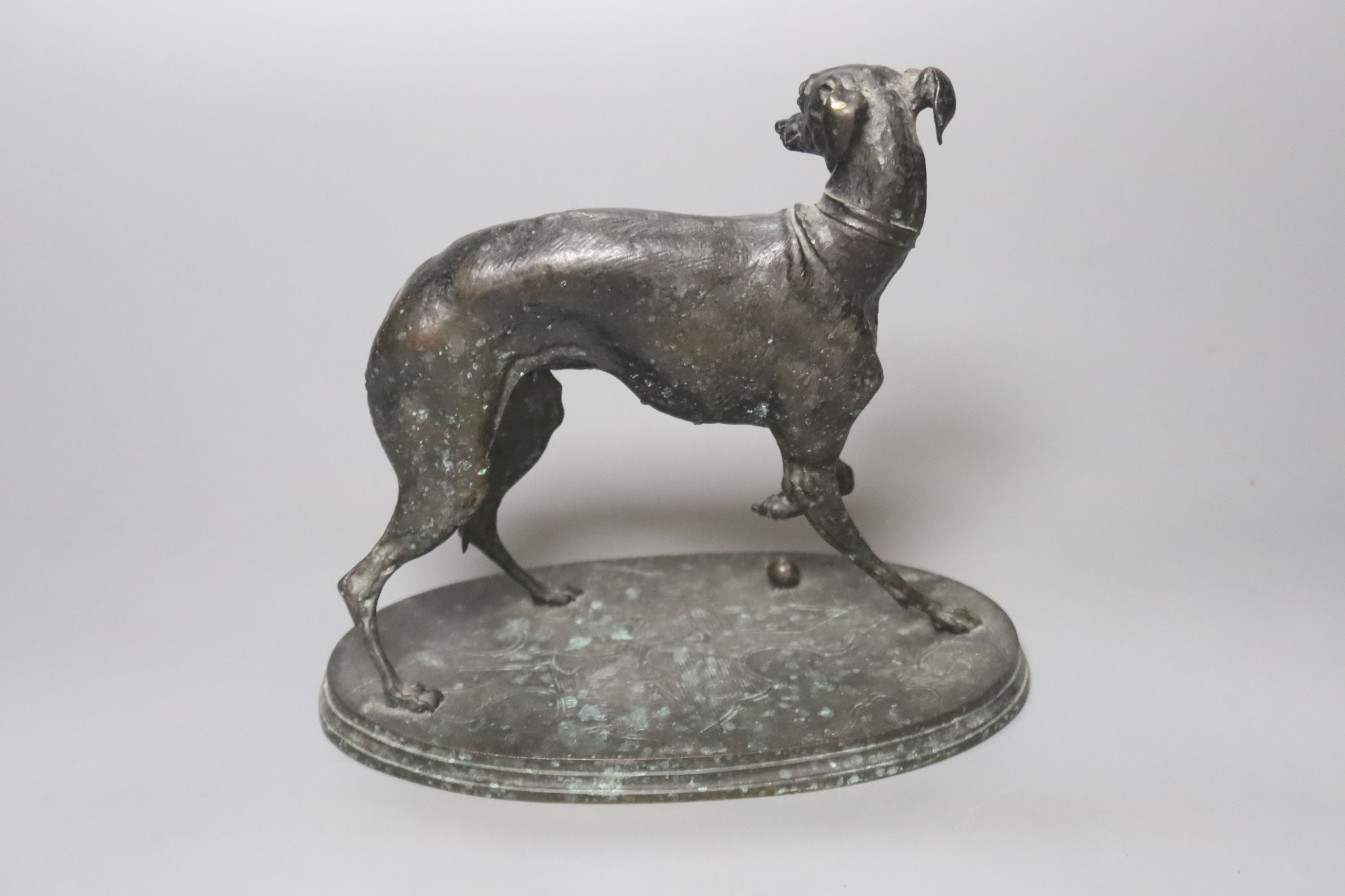 After Pierre-Jules Mene, A bronze study of a whippet, signed to underside, 17cm wide, 15cm high